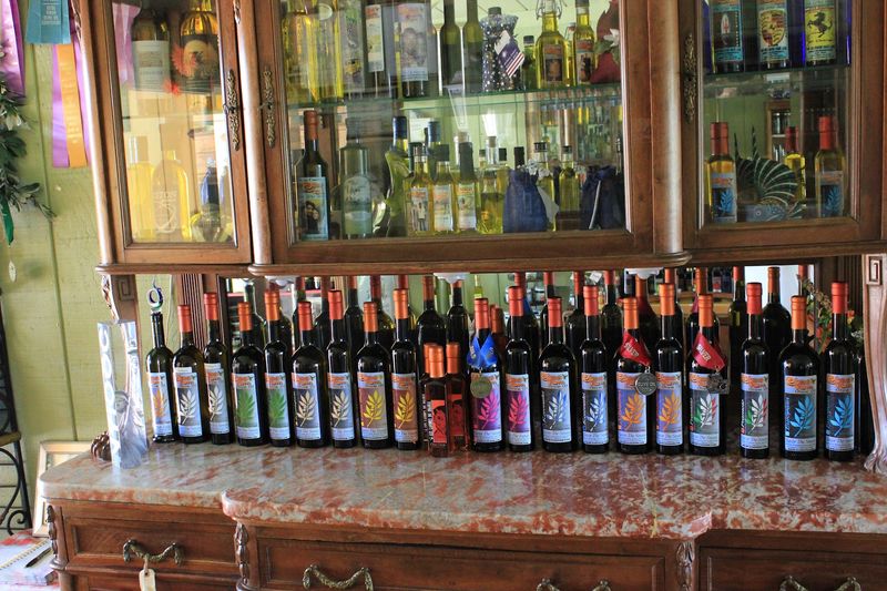 Olive Mill Tours Through The California Agricultural Tourism Association, San Joaquin Valley