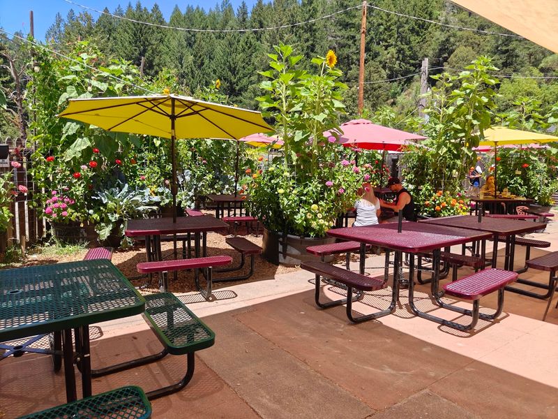 These 11 Under-The-Radar Northern California Restaurants Are Worth Building An Entire Food Trip Around - Decor Hint The Peg House, Leggett
