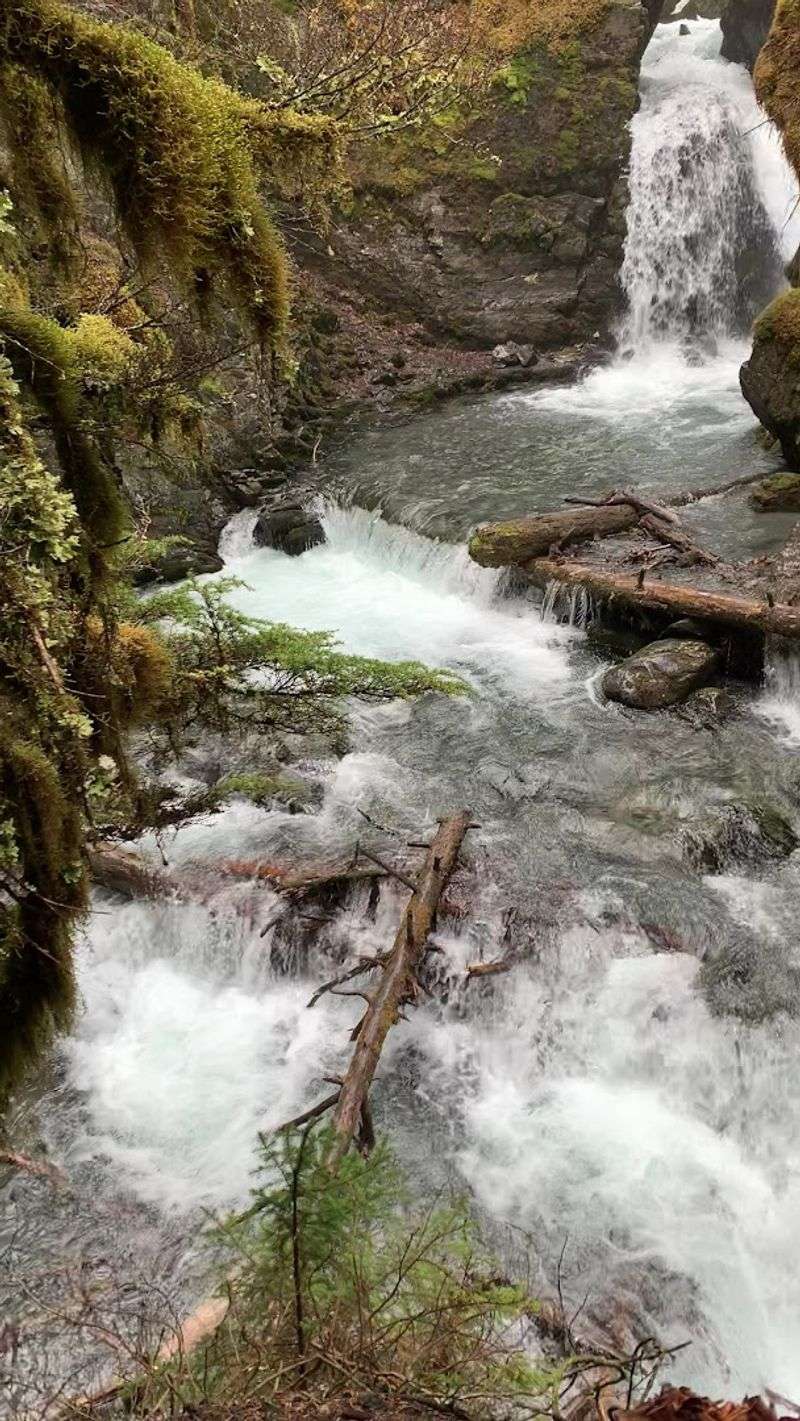 Virgin Creek Falls, Girdwood