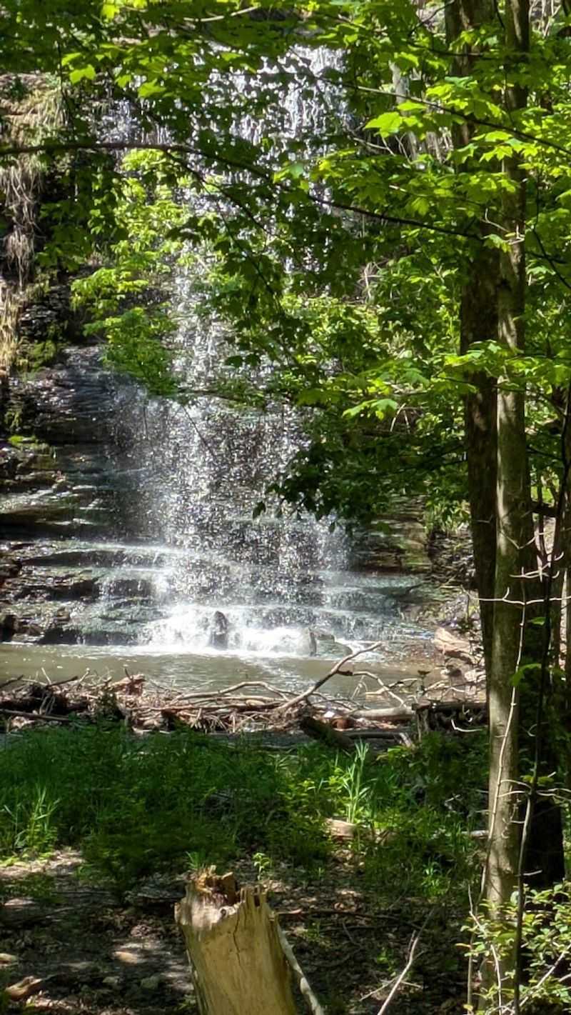 Day's Dam Falls, Lorain