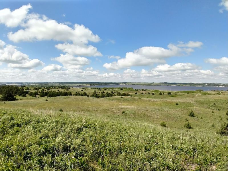 Watch The Sandhills Do Their Slow, Golden Magic