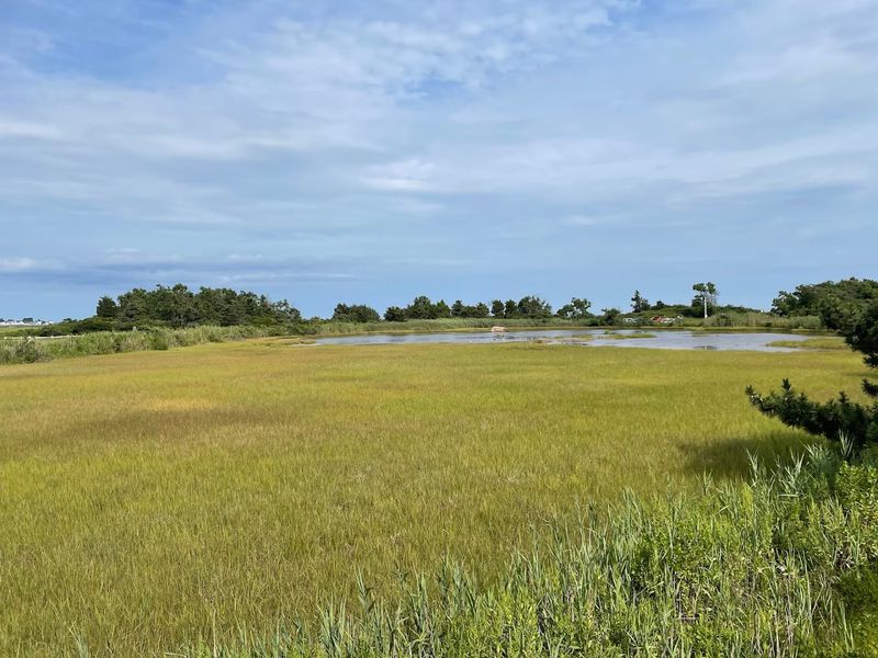 Meigs Point Adds Nature Center Fun
