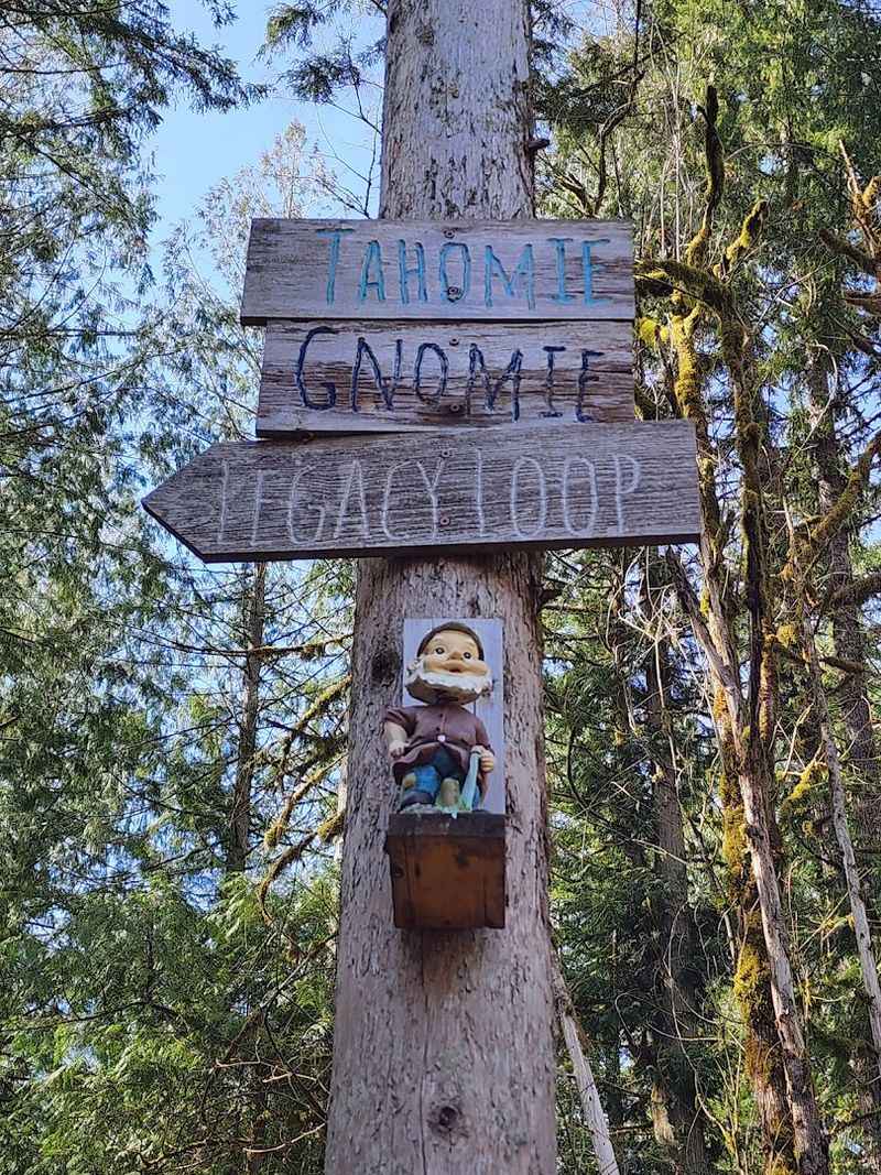 Washington's Most Enchanting Hidden Gnome Trail Will Spark Your Inner Child - Decor Hint Connecting Trails Let You Extend The Adventure