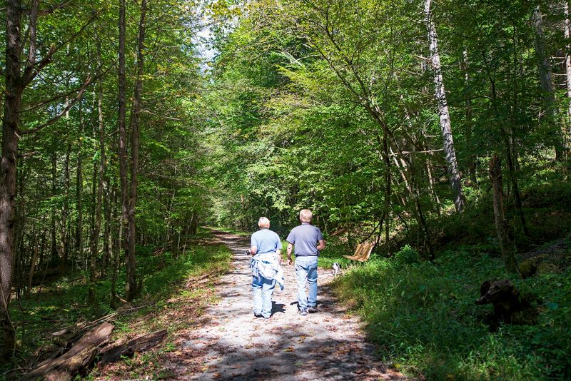 10 Short Kentucky Waterfall Hikes Under Two Miles That Deliver Big Time Drama - Decor Hint Honeymoon Falls Trail, Pine Mountain State Resort Park