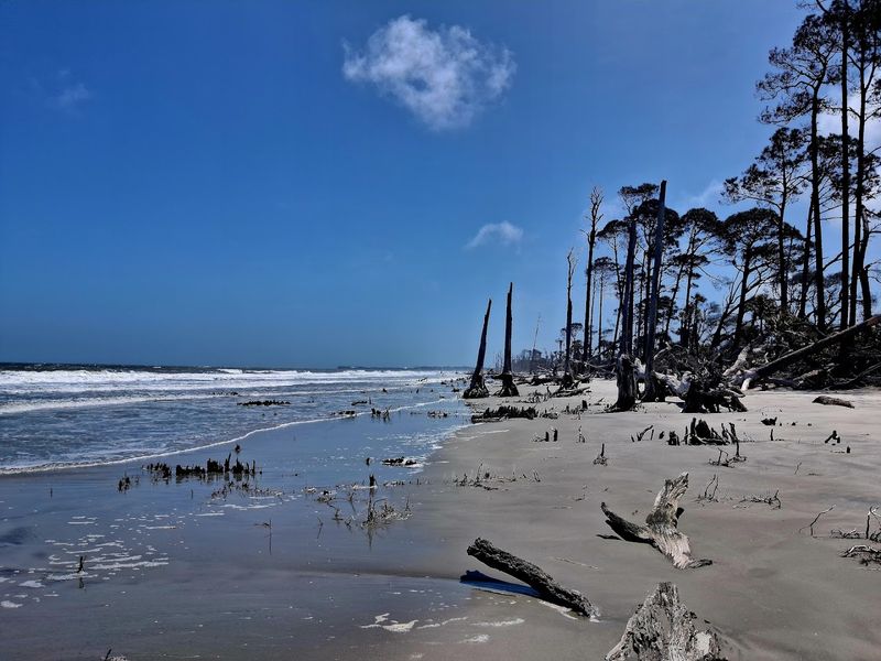 Hunting Island State Park, Hunting Island