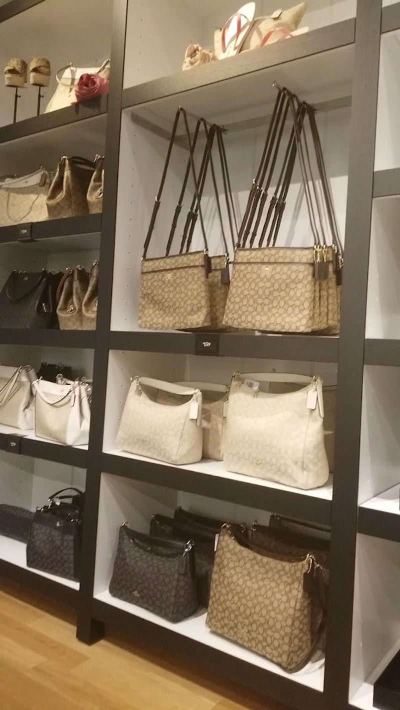Check Coach Outlet For Handbags, Wallets, And Accessories