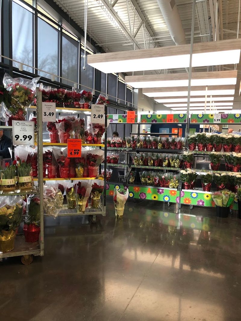 This Enormous North Carolina Grocery Store Helps Families Save Thousands Every Year - Decor Hint Look Beyond Groceries For Unexpected Household Bargains