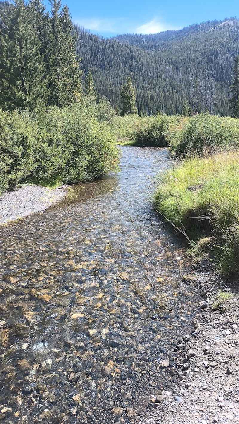 Pole Creek, Near Hailey