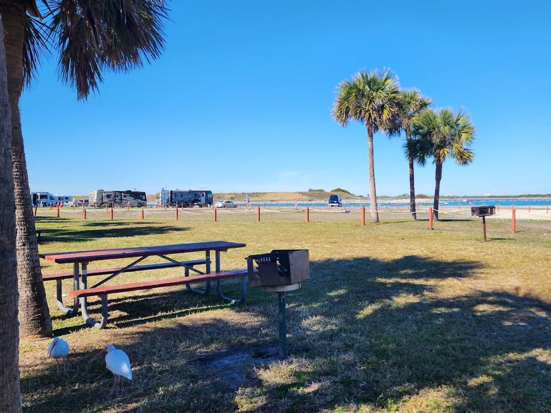 Jetty Park Campground, Port Canaveral