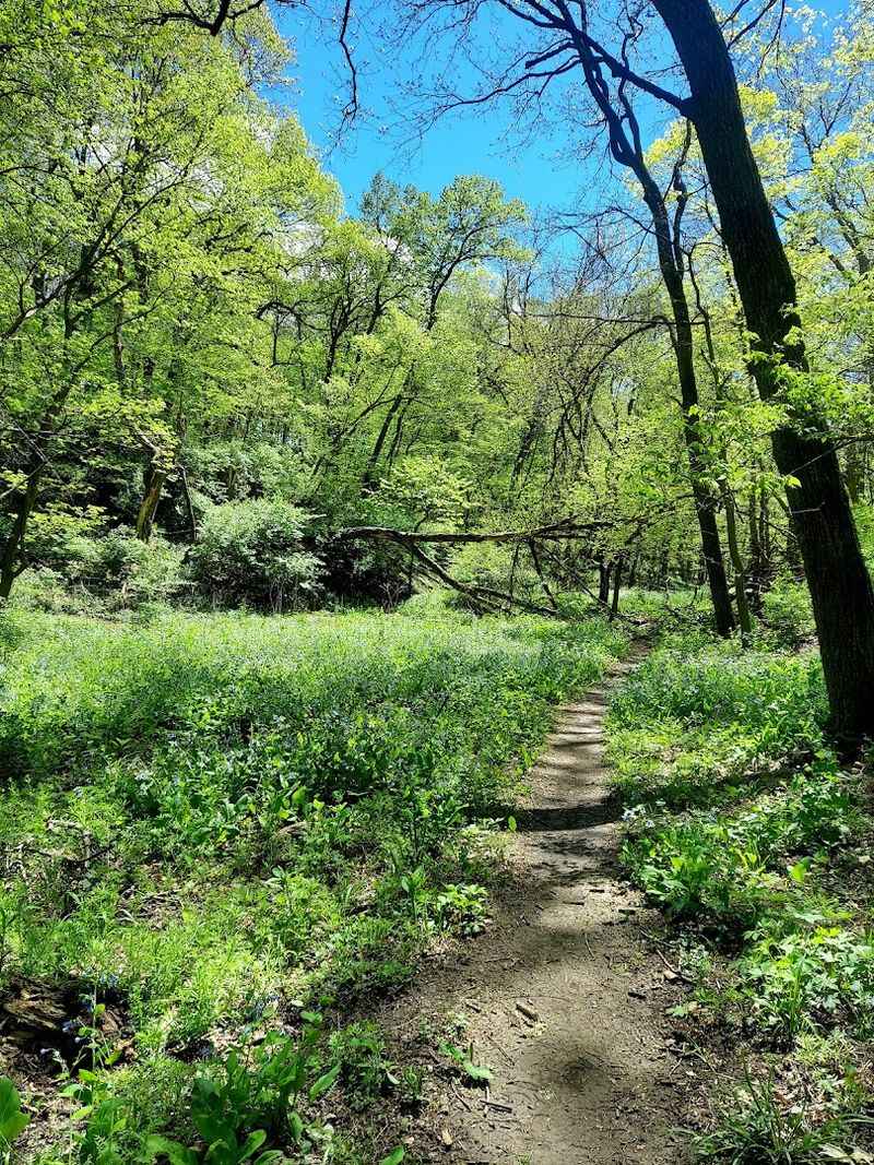 This Nebraska Bike Destination Is Unlike Anywhere Else In The State - Decor Hint Hiking Here Is No Easy Stroll