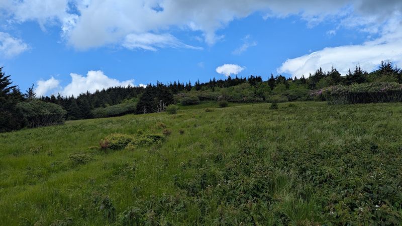 10 North Carolina Outdoor Spots Where Summer Hikers Should Stay Tick-Aware - Decor Hint Bakersville / Roan Mountain Foothills