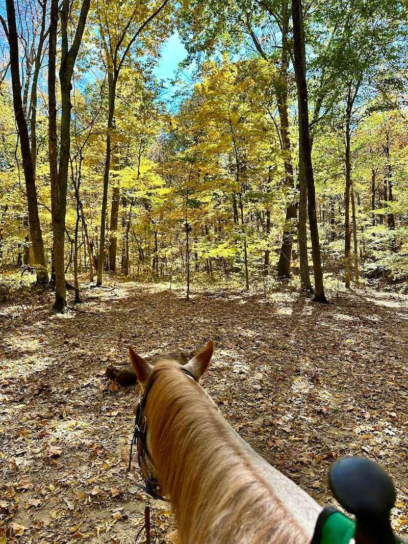 Whispering Woods Riding Stables