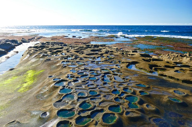 La Jolla Tide Pools, San Diego