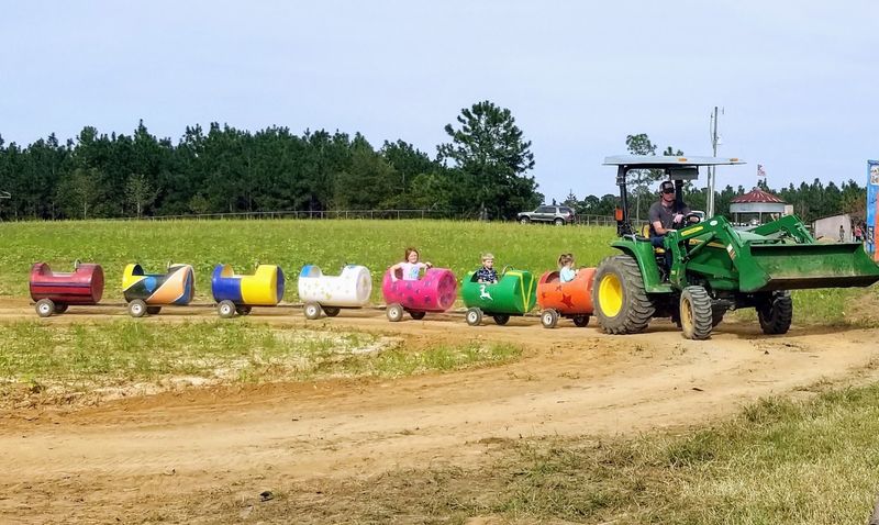 12 Hidden Farm Markets In Georgia With Homemade Pies, Jams, And Fresh Produce - Decor Hint The Market at Rutland Farms, Tifton