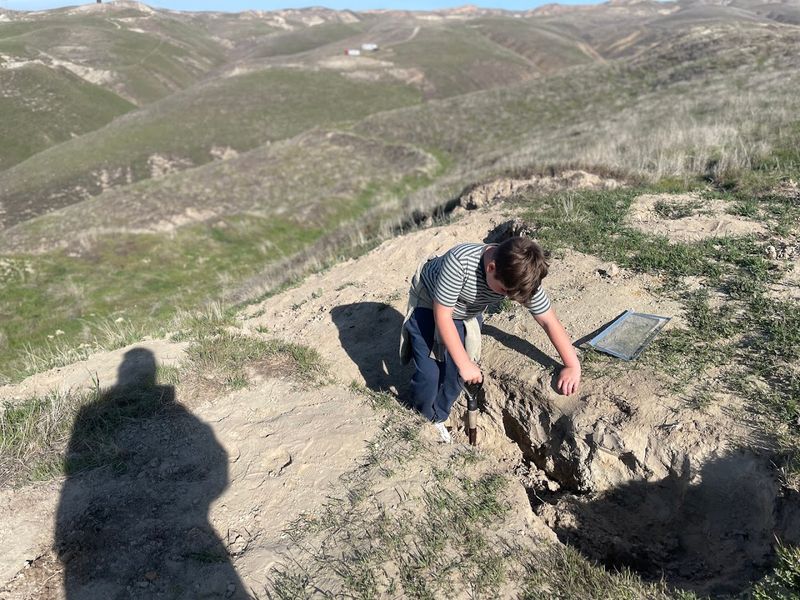 Ernst Quarries at Sharktooth Hill, Bakersfield