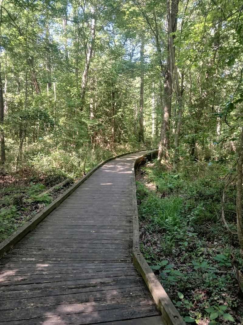 Swamp Boardwalk Trail