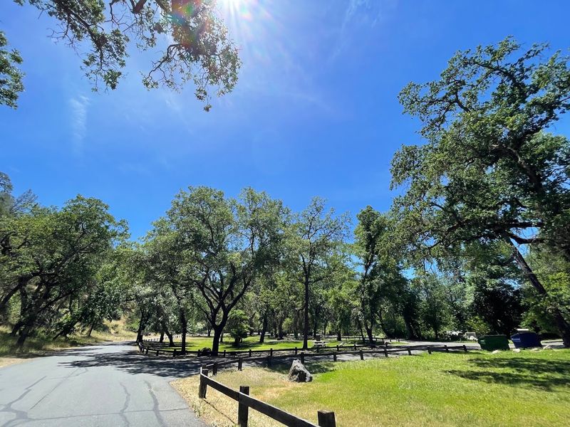 This Underrated California State Park Has Lakeside Cabins, Woodland Trails And One Of America's Best Bass-Fishing Lakes - Decor Hint Planning A Visit To Clear Lake State Park