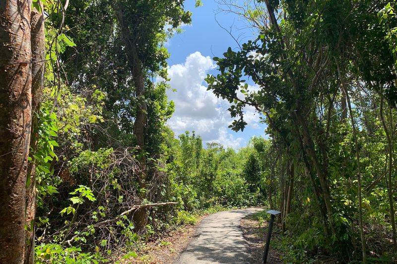 13 Florida Hikes Under Five Miles That Reward You With Amazing Views - Decor Hint Anhinga Trail, Everglades National Park, Homestead