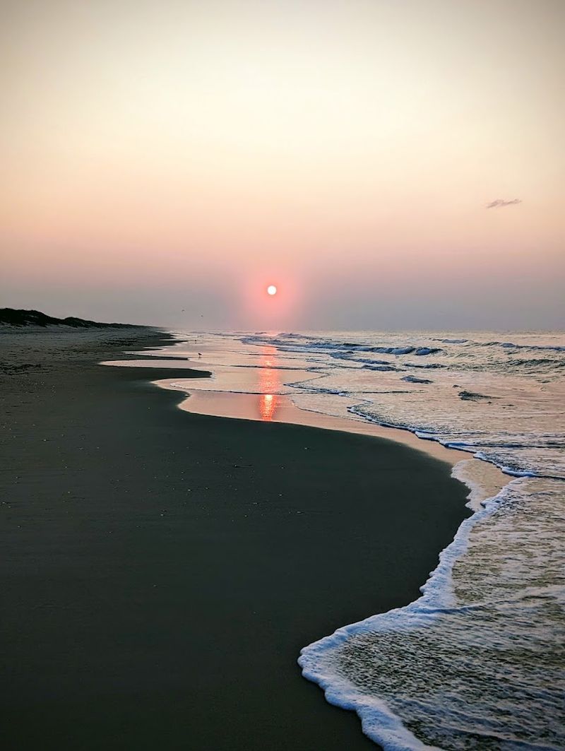 These 9 North Carolina Coastal Spots Where Beachcombers Find Unexpected These 9 North Carolina Coastal Spots Where Beachcombers Find Unexpected