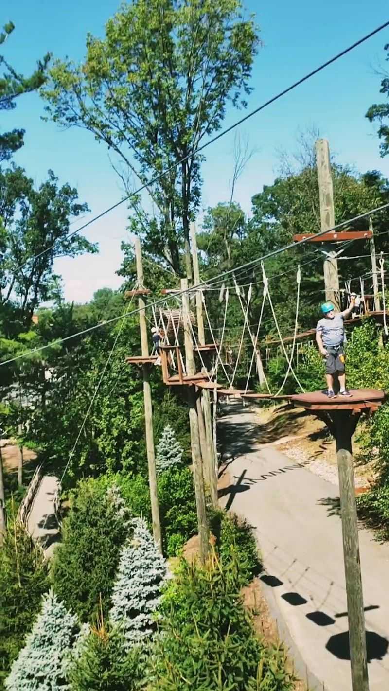 Treetop Adventure Course, West Orange