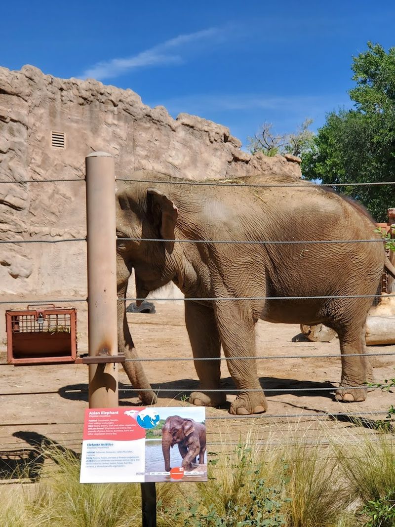 ABQ BioPark Zoo