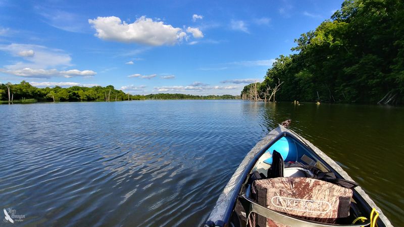 These Are 11 Kentucky Lakes Tourists Haven't Discovered Yet - Decor Hint Cedar Creek Lake