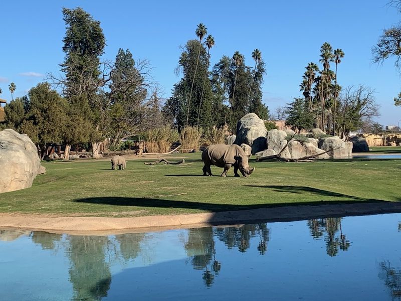 Fresno Chaffee Zoo, Fresno