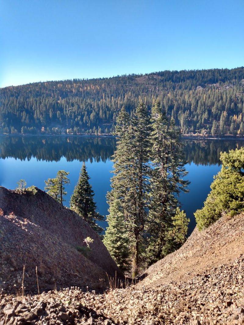 McCall