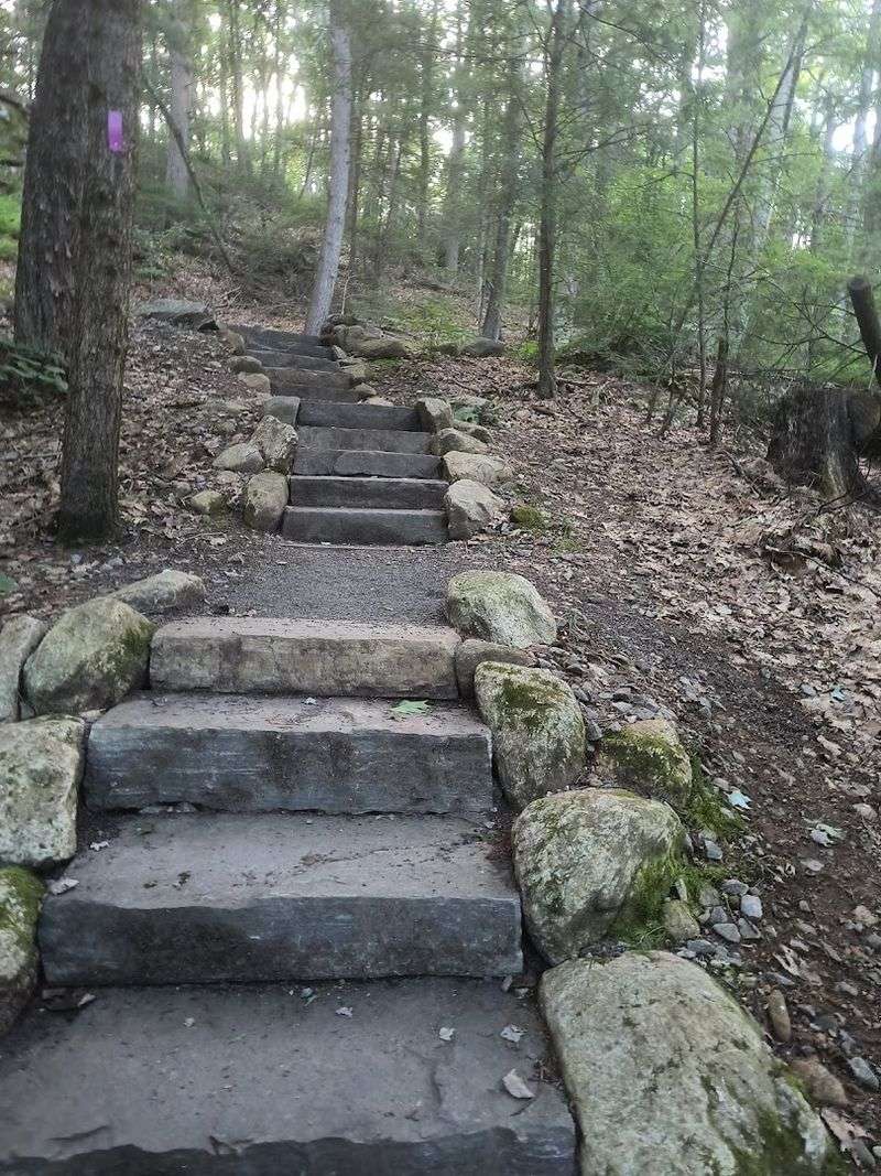 Bring Shoes With Real Grip
