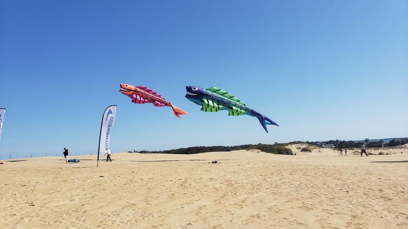 Bring A Kite And Join The Fun