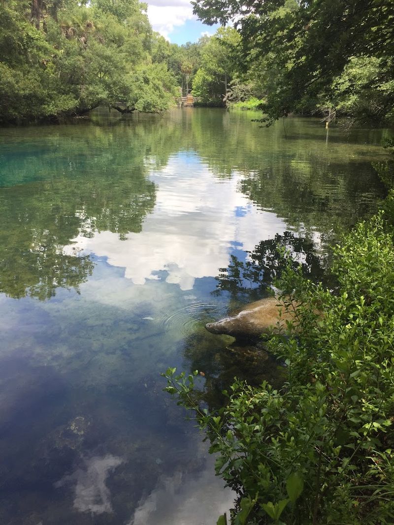 Homosassa River, Homosassa