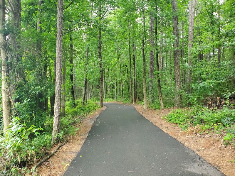 East Roswell Park, Roswell