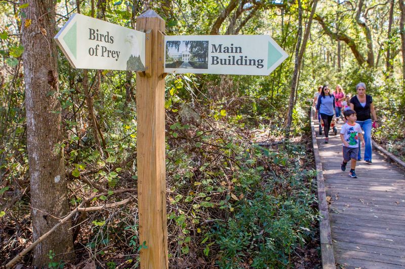 9 Wildlife Sanctuaries In Georgia That Let You Meet Animals Up Close - Decor Hint Oatland Island Wildlife Center, Savannah