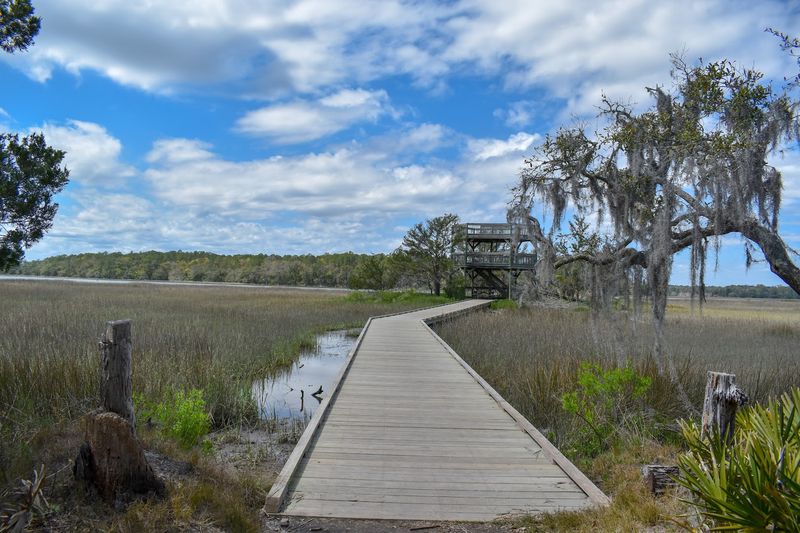 Skidaway Island State Park (Sandpiper Trail), Savannah