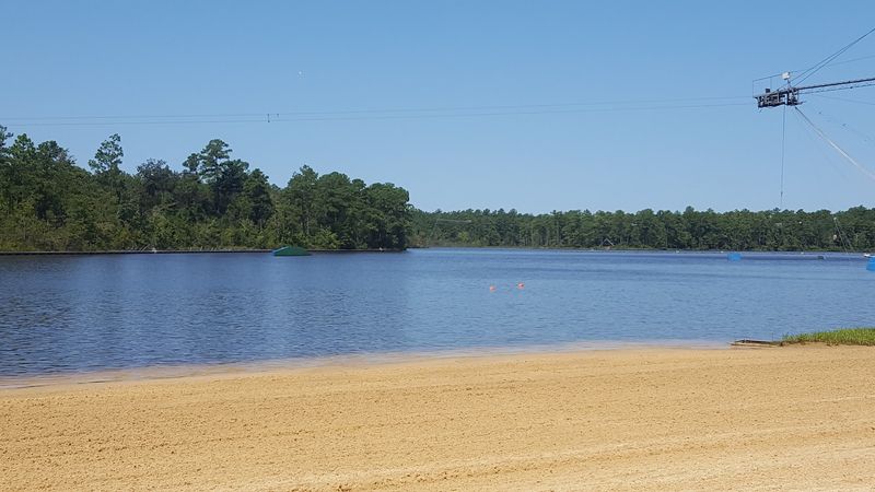 Start At The Beach Before The Pines Pull You In