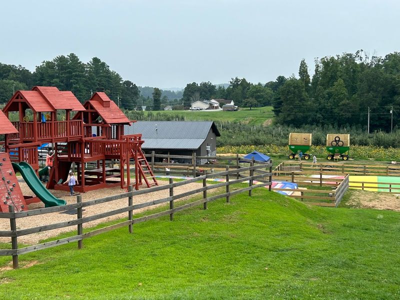 Let The Kids Burn Energy On The Farm Fun Before The Ride Home