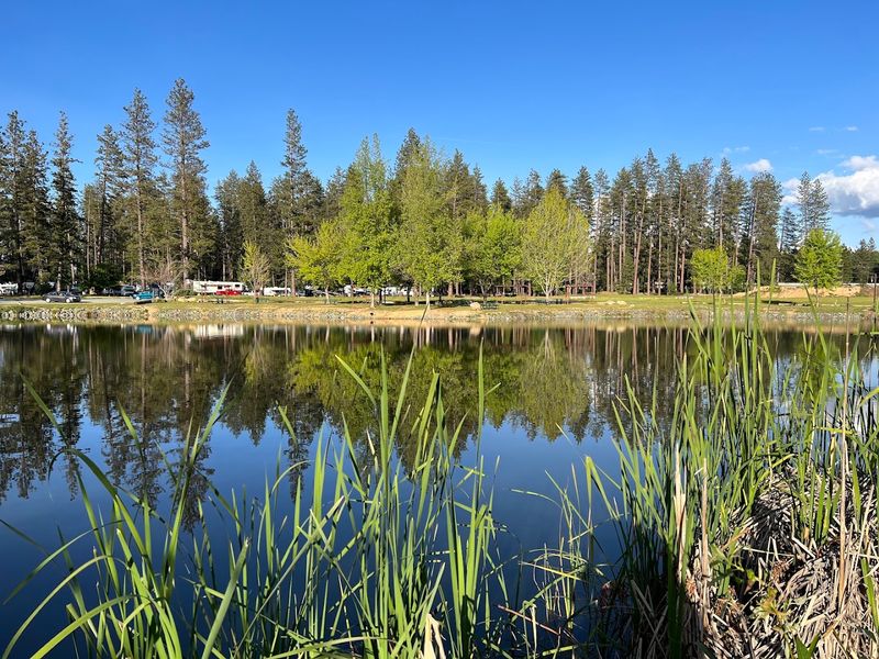 Slow Down Beside The Fairgrounds' Peaceful Pond