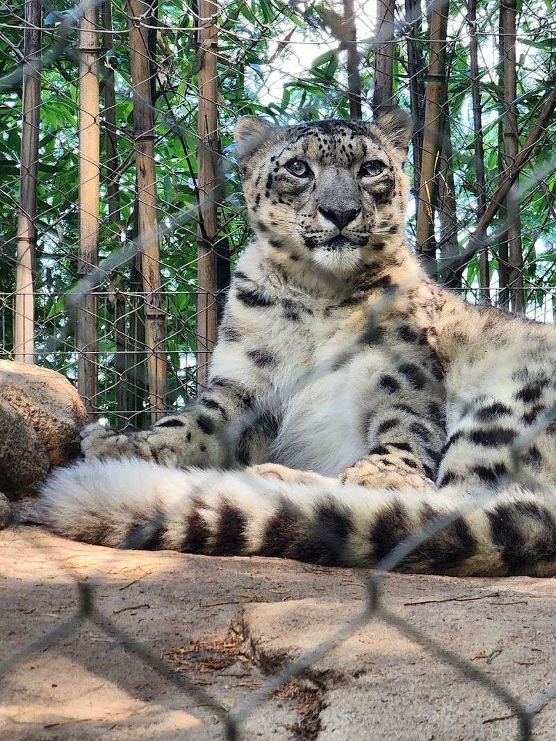 Mill Mountain Zoo, Roanoke