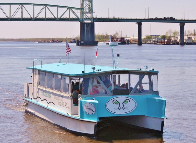 Pick The Eagles Island Cruise For A Quick Scenic Ride