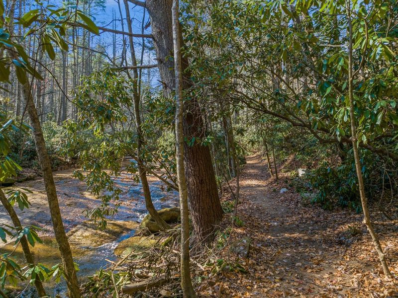 This Secluded North Carolina Retreat Lets You Sleep In Treehouses High Above A Mountain Gorge - Decor Hint Follow Forest Paths Toward Waterfalls And Rocky Creek Views