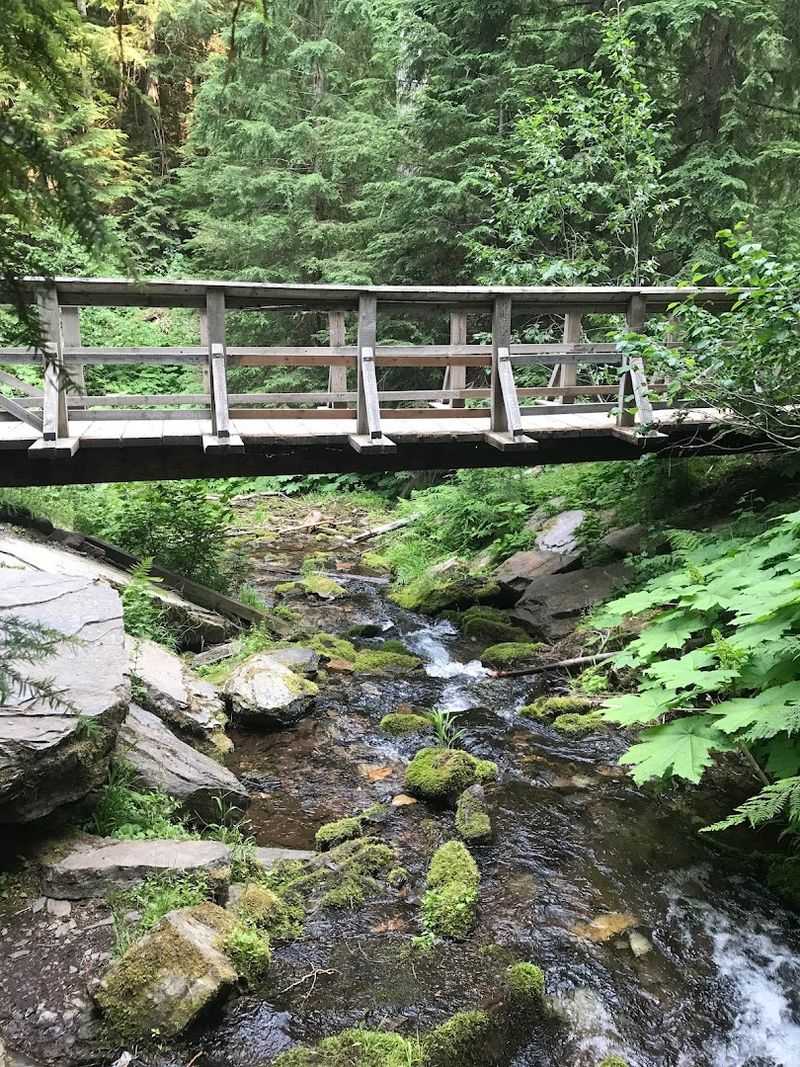 Shadow Falls Trail