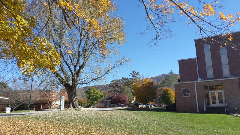 These Georgia Towns Keep Their Appalachian Heritage Alive Through Food, Events, And Tradition - Decor Hint Young Harris