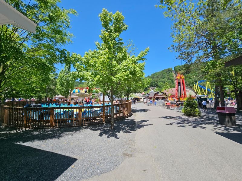 This 100 Years Old Pennsylvania Amusement Park Still Has No Entry Fee - Decor Hint Food That Actually Impresses Visitors