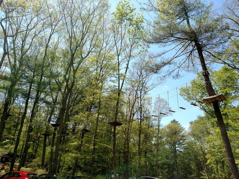 Ultimate Outdoor Adventure Spot In Connecticut Where The Trees Become The Playground - Decor Hint A Big Outdoor Confidence Boost