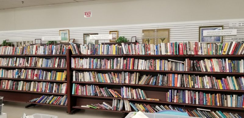 Books, Media, And Unexpected Treasures