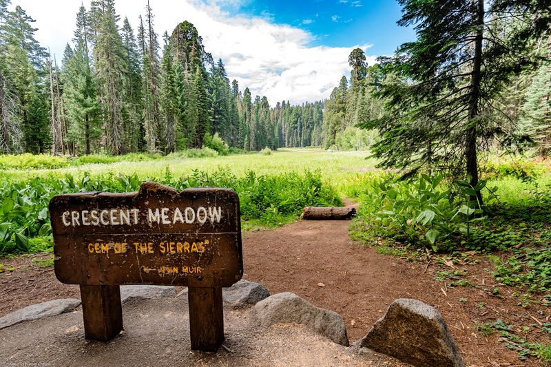 Sugar Pine Trail, Fresno and Clovis