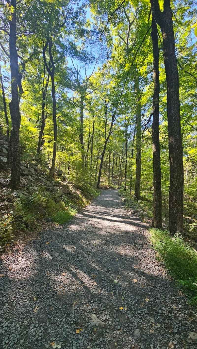 Tower Trail At Sleeping Giant State Park, Hamden 