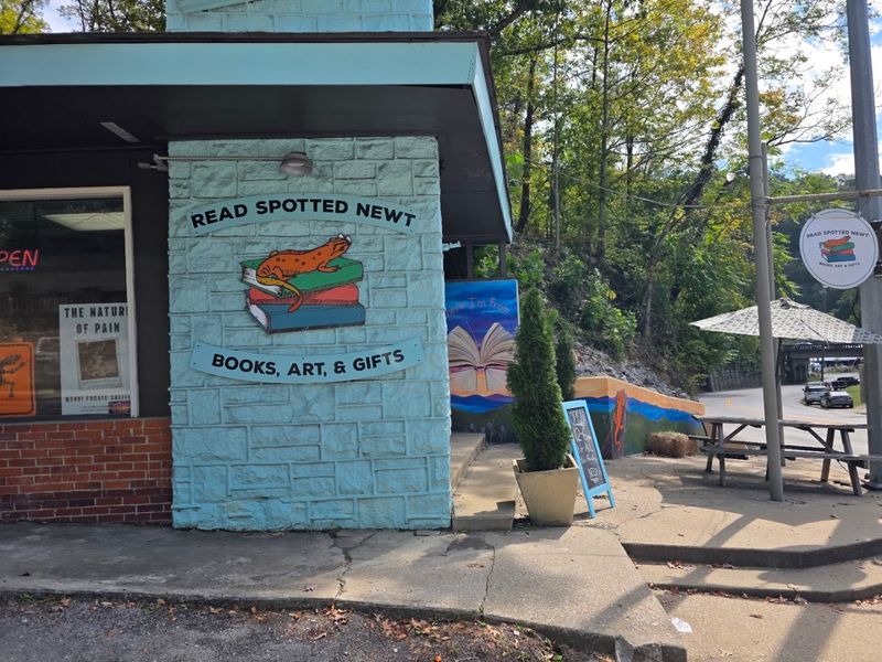 12 Kentucky Bookstores So Charming You'll Forget Your Phone Exists - Decor Hint Read Spotted Newt