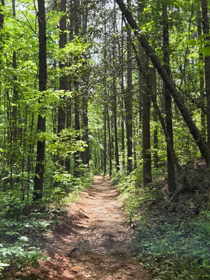 The Trail That Earns Its Views