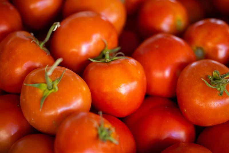These Idaho Farms Grow The Kind Of Tomatoes Grocery Stores Cannot Compete With - Decor Hint Killarney Farm